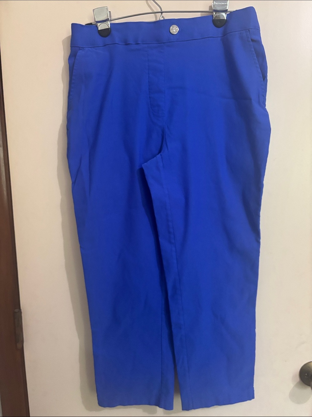 Rafaella Flat Front Casual Ankle Length Pant in Bright Blue